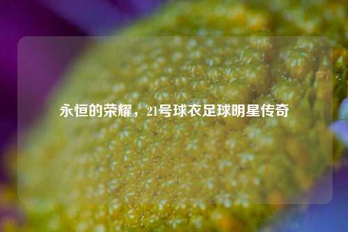 永恒的荣耀，21号球衣足球明星传奇