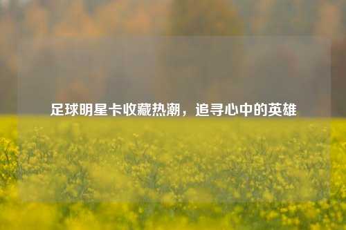 足球明星卡收藏热潮，追寻心中的英雄