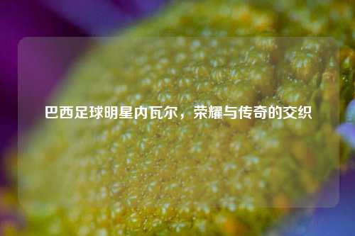 巴西足球明星内瓦尔，荣耀与传奇的交织