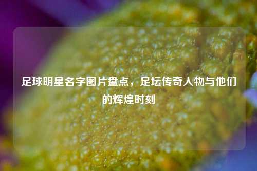 足球明星名字图片盘点，足坛传奇人物与他们的辉煌时刻