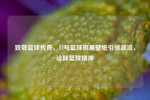 致敬篮球传奇，11号篮球明星壁纸引领潮流，诠释篮球精神